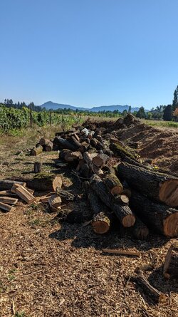 Oregon wood addict