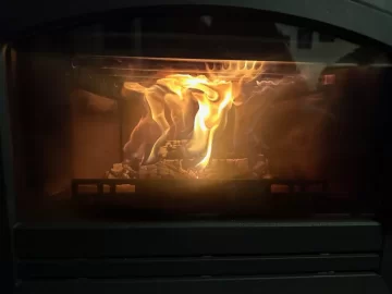 [Hearth.com] New Napoleon EPI3 Woodstove insert question