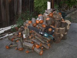 Woodpile-Chainsaw-web.jpg