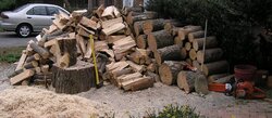 Suburban firewood processing, and why to be careful with yard trees