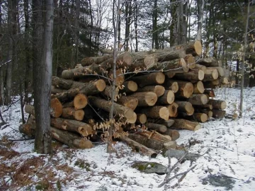[Hearth.com] Finally found a Tri-Axle load!