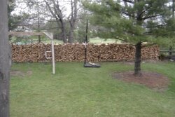 My red oak privacy fence
