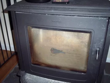 [Hearth.com] Someone took a wrong turn in my chimney