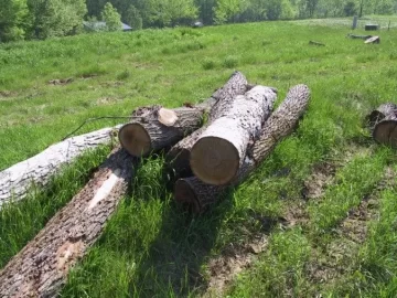 [Hearth.com] Wood