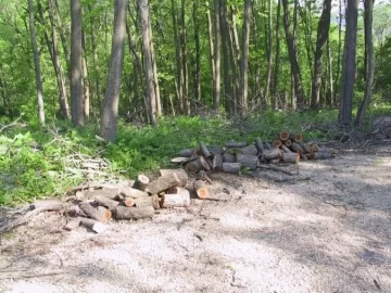 [Hearth.com] Wood