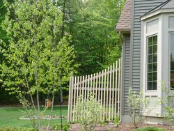 Decorative curved facade fence - on the cheap
