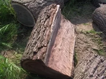 [Hearth.com] Wood