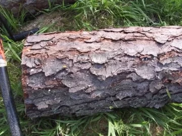 [Hearth.com] Wood