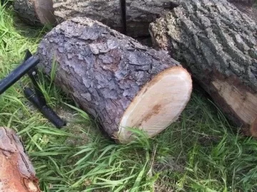 [Hearth.com] Wood