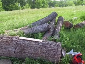 [Hearth.com] Wood