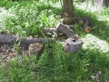 [Hearth.com] Wood