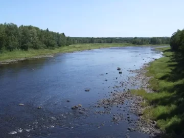[Hearth.com] RE: ATV Trip to The County