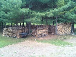 The wood wall... think I got enough, yet? Still one more truckload to bring in...