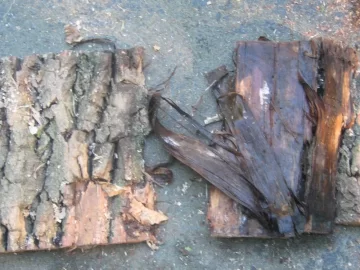 [Hearth.com] Firewood from Hell!