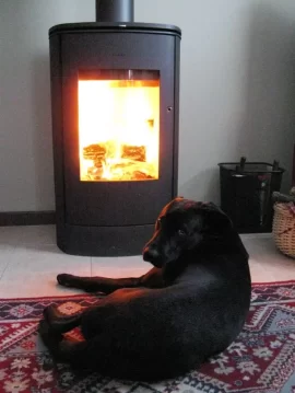 [Hearth.com] Firedog