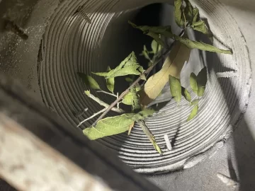 [Hearth.com] Clean your chimney!