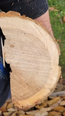 20221027_162116.jpg 20221027_162116.jpg