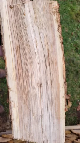 Wood ID Oak or Ash or something else?