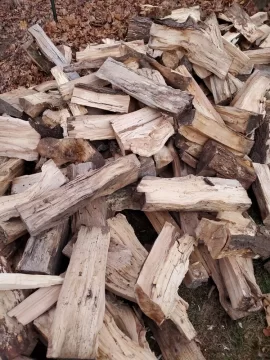 20221122_163039.jpg 20221122_163039.jpg