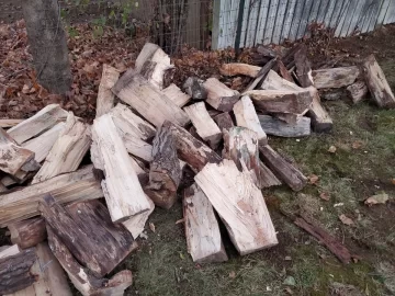 20221122_163053.jpg 20221122_163053.jpg