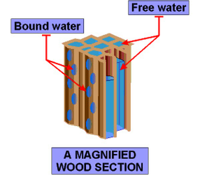Free-and-bound-water-in-wood.png