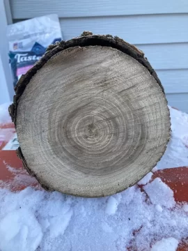 Wood Id help. Is it white oak?