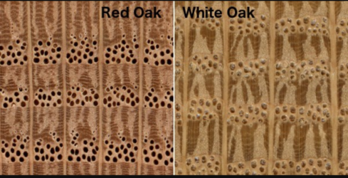Why I prefer red oak over white oak