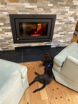 A Hound and a Wood Stove