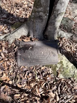 I found a side of an old wood stove