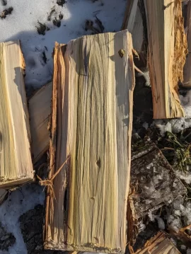 Wood ID help - three trees