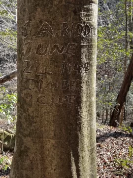 I found a side of an old wood stove