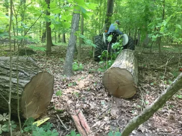 Would you have a stove if you didn't have a wood source?