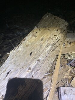 Is this usable wood or should be thrown away?