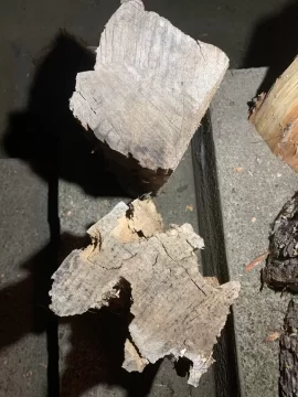 Help identify this wood.