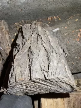 Help identify this wood.