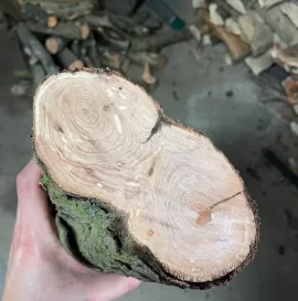 Help ID this Wood?