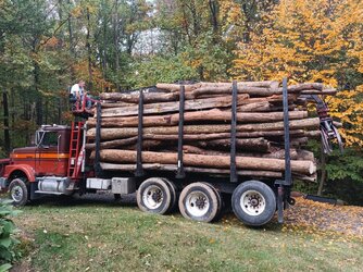 Delivered logs , pricing?