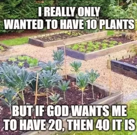 plants.jpg