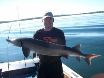 [Hearth.com] Sturgeon / St.Lawrence River