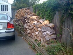the wood pile