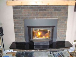 Woodburning stove vs insert?