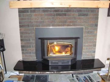 [Hearth.com] Woodburning stove vs insert?