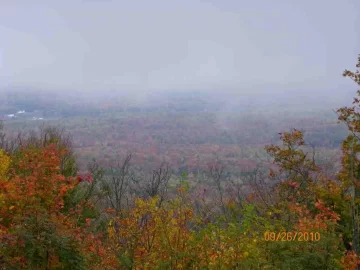 [Hearth.com] Fall Colors