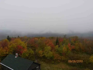 [Hearth.com] Fall Colors