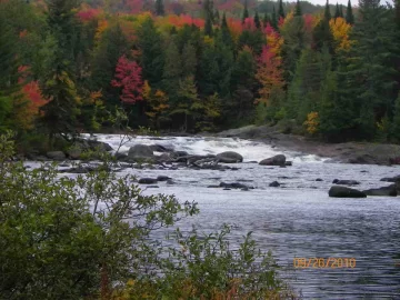 [Hearth.com] Jamestown Falls