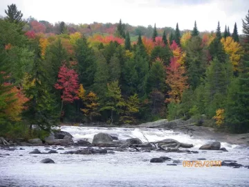 [Hearth.com] Jamestown Falls