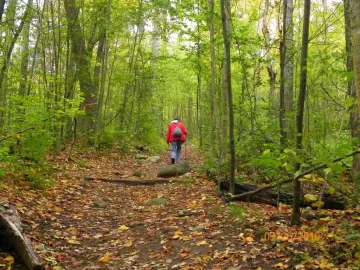 [Hearth.com] More of Fall Colors