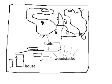 [Hearth.com] Guess I am Anal about my wood stacks