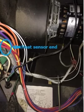 25 heat sensor.jpg