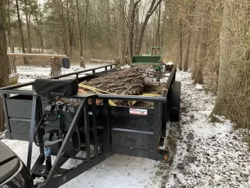 Massive logs delivered, now what?